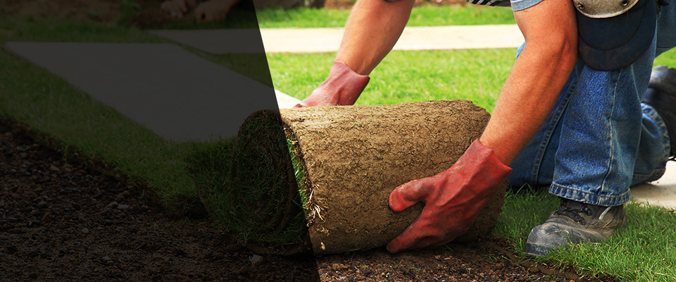 Scandia Landscapers